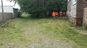 The same yard after the cleanup.