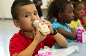 north-texas-food-bank_101512_475x310