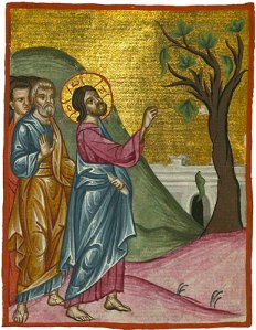 Jesus and the barren fig tree Illumination of an Arabic manuscript Egypt, circa 1684 (photo: The Digital Walters )