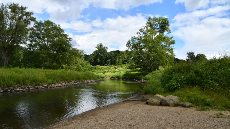 A serene riverbank scene featuring a calm river surrounded by lush green trees and grass under a partly cloudy sky.